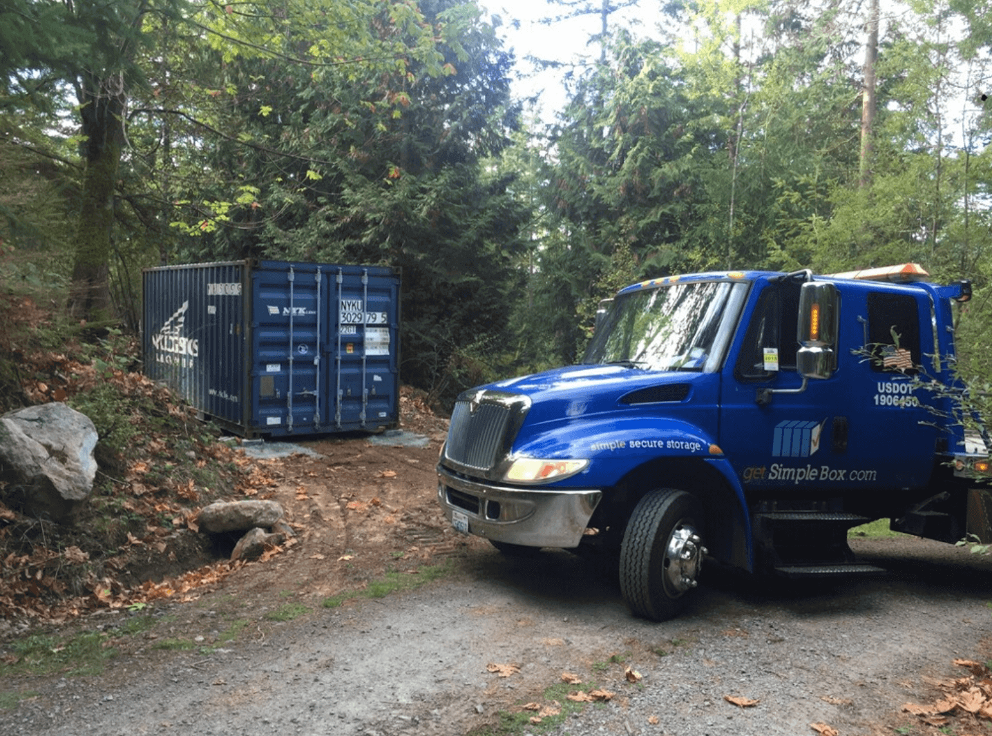 shipping containers for sale -Container delivered in a forest. shipping containers for sale -Container delivered in a forest.